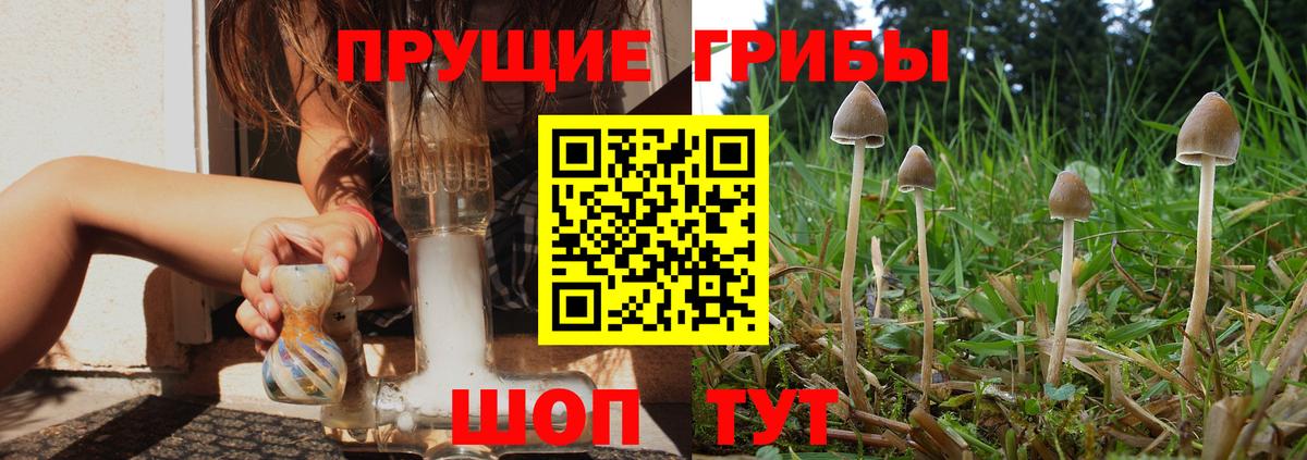 Псилоцибиновые грибы Magic Shrooms  даркнет сайт  Димитровград  Вход с VPN 